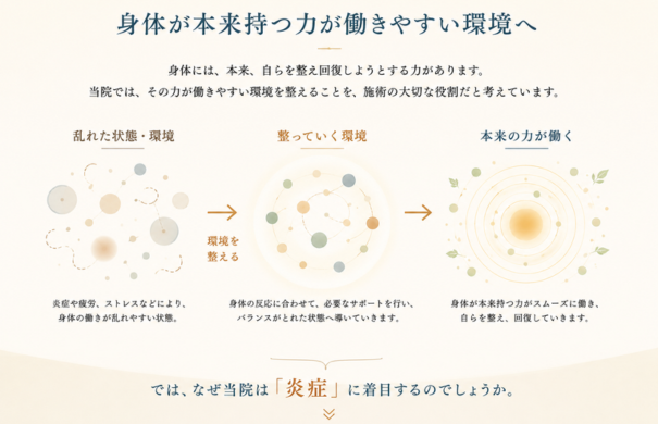 身体の反応を確認し、炎症や機能の乱れなどに目を向けながら、身体本来の力が働きやすい環境を整えていく考え方を示した図解